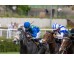  Carrera: P.Sociedad de Carreras de Sanlucar de Barrameda Caballo: Micaela Monta: D.Sikorova